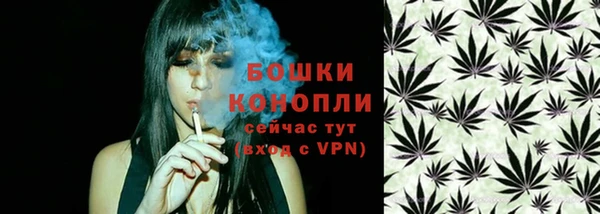 ПСИЛОЦИБИНОВЫЕ ГРИБЫ Баксан