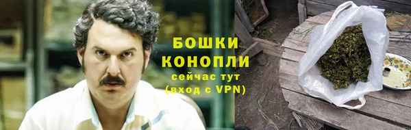 ПСИЛОЦИБИНОВЫЕ ГРИБЫ Баксан