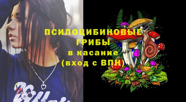 стафф Балахна