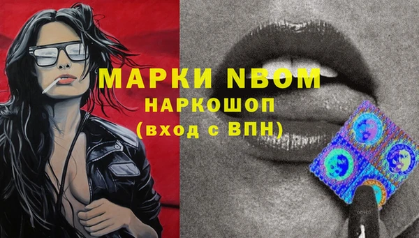 ПСИЛОЦИБИНОВЫЕ ГРИБЫ Баксан