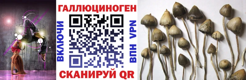 Псилоцибиновые грибы ЛСД Тайшет